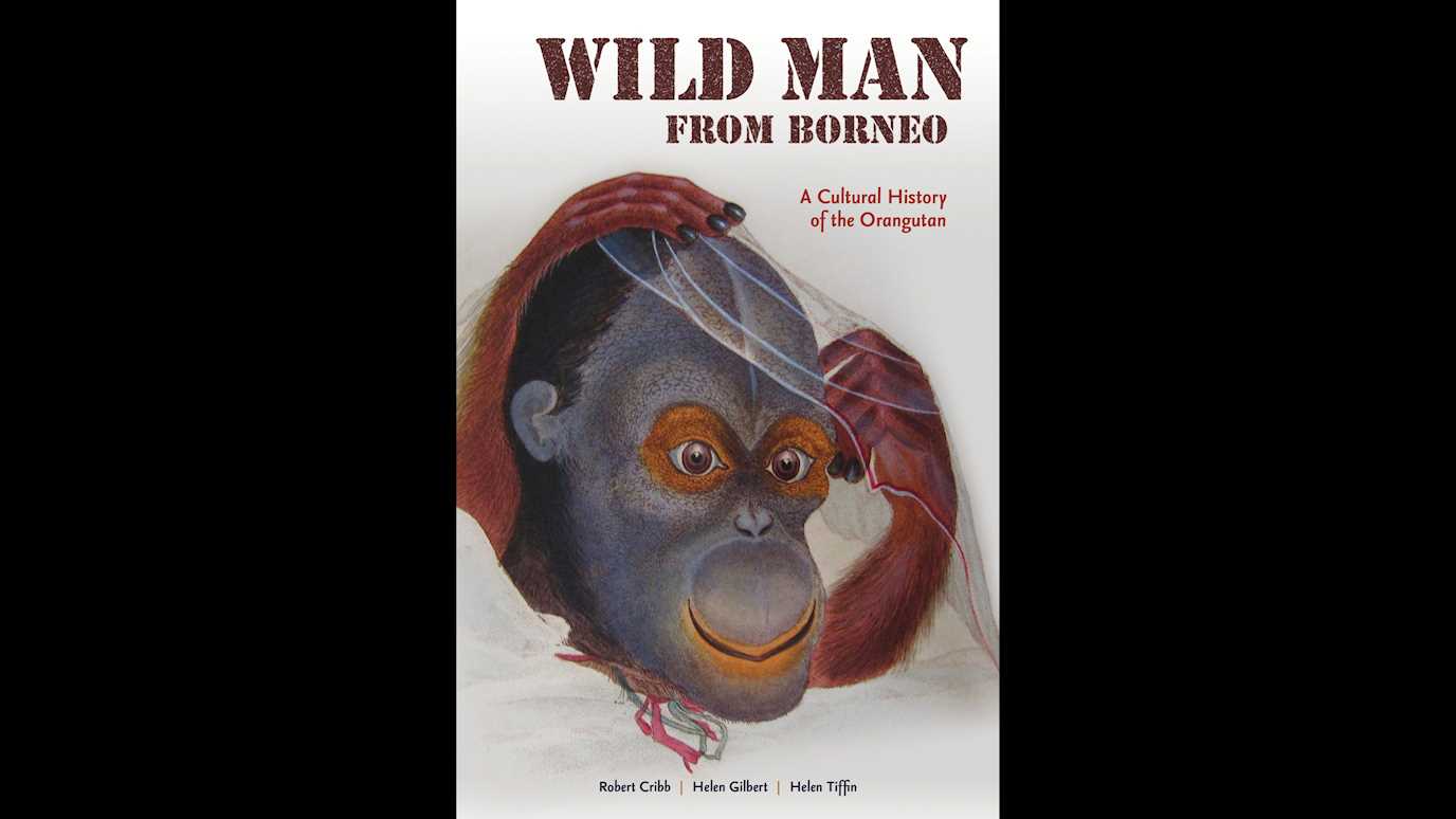 Wild Man of Borneo: A Cultural History of the Orangutan By Robert Cribb, Helen Gilbert, Helen Tiffin